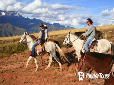 Half day: City Horse Riding - MISTIC TOUR