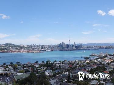 Half-Day Auckland Scenic Tour