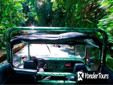 Half-Day Jeep Tour of Tijuca Forest Half-Day Jeep Tour of Tijuca Forest