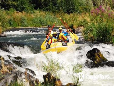 Half-Day Rogue River Rafting