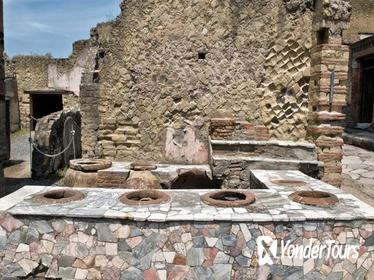 Herculaneum Private Walking Tour