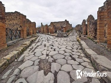Herculaneum ruins and Naples National Archaeological Museum private tour