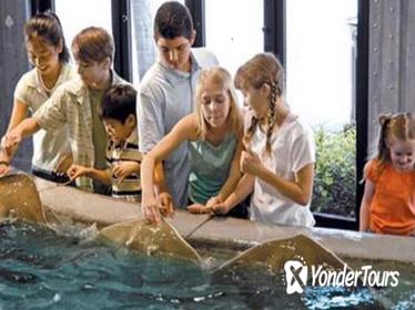 Houston City Tour and Admission to Downtown Aquarium Houston City Tour and Admission to Downtown Aquarium