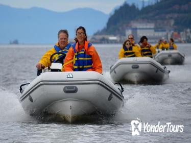 Ketchikan Shore Excursion: Zodiac Wildlife Adventure