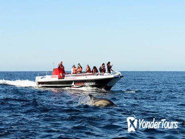 Knysna Lagoon 1.5-hour Sightseeing Boat Cruise Knysna Lagoon 1.5-hour Sightseeing Boat Cruise