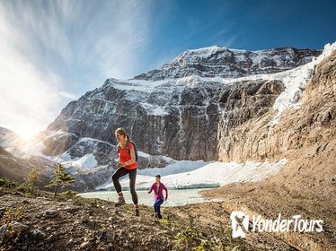 Lake Louise to Jasper One-Way Tour