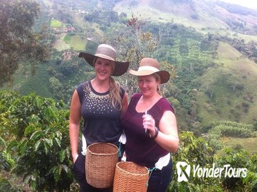Medellin City and Coffee Region Tour Medellin City and Coffee Region Tour