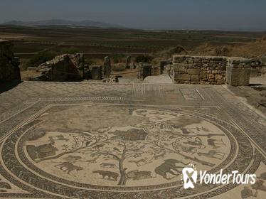 Meknès and Roman Ruins of Volubilis Private Tour from Fez