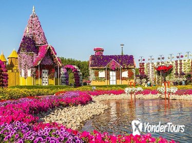 Miracle Garden Miracle Garden