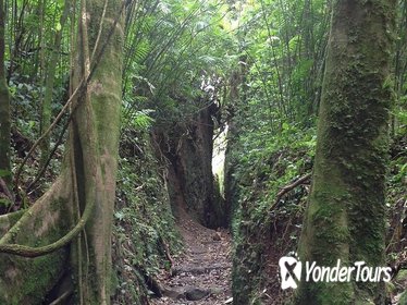 Mombacho Volcano Hike and Ziplining Adventure from San Juan del Sur