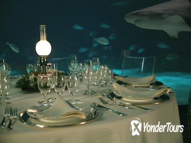 New Year's Eve at Genoa Aquarium