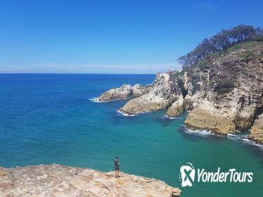 North Stradbroke Island Day Tour