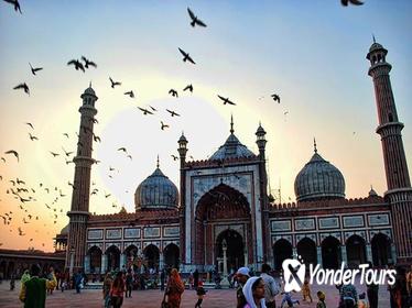 Old Delhi Cycle Tour
