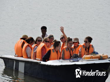 Palighat Chambal Safari from Sawai Madhopur