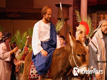 Palm Sunday in Jerusalem: Mass at Bethpage and Via Dolorosa Procession with Transport from Tel Aviv Palm Sunday in Jerusalem: Mass at Bethpage and Via Dolorosa Procession with Transport from Tel Aviv