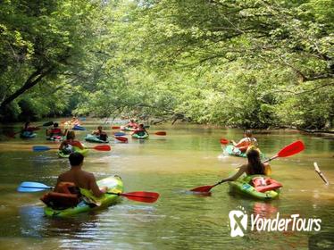 Phu Quoc Northern Island and Kayaking in Cua Can River Phu Quoc Northern Island and Kayaking in Cua Can River