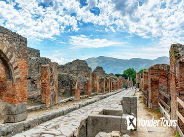 Pompeii and Mt. Vesuvius Private Tour from Positano or Amalfi