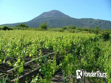 Pompeii and Vesuvius Wine-Tasting Tour
