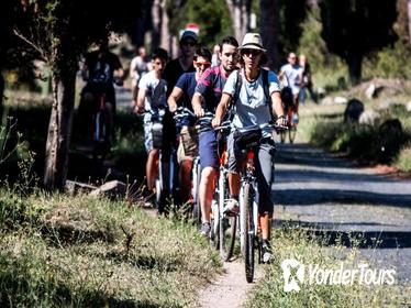 Private 6-hour Bike Tour: Appian Way and Aqueducts Park