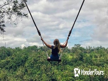 Private Bali Tour: Wonderful Ubud with Swing