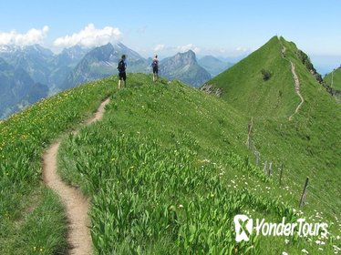 Private Swiss Alps Hike with Transport from Lucerne Private Swiss Alps Hike with Transport from Lucerne