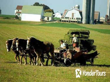Private Tour from New York to Amish Country with Factory Outlet Shopping