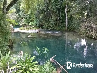 Private Tour: Blue Hole and Fern Gully Rain Forest Adventure from Negril