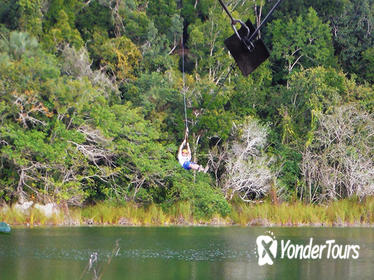 Private Tour: Jungle Adventure at Punta Laguna Nature Reserve Private Tour: Jungle Adventure at Punta Laguna Nature Reserve