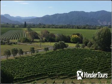 Private Wine Gourmet and Scenic Delights Tour from Picton