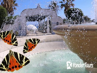 Rhodes Kallithea, Butterfly Valley, and Filerimos Full-Day Tour Rhodes Kallithea, Butterfly Valley, and Filerimos Full-Day Tour
