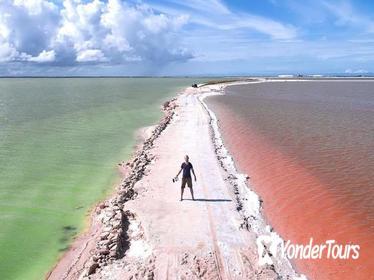 Rio Lagartos, Coloradas & Ek Balam Cenote