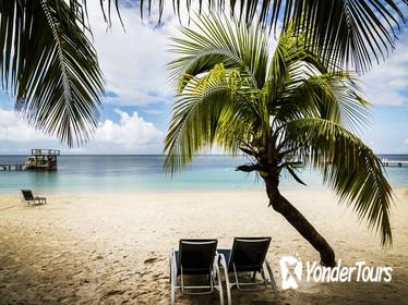 Roatan Shore Excursion: Private Tour to Animal Sanctuary and Lagoon