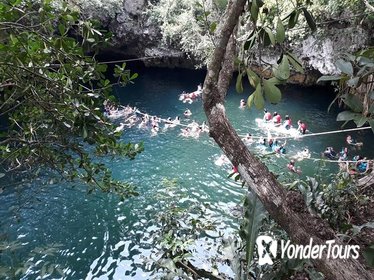 Ruta de los Cenotes - above and below