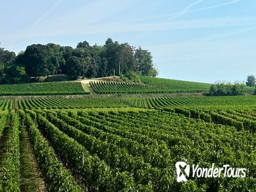 Saint-Emilion Day Trip from Bordeaux: Château Wine Tastings and Lunch