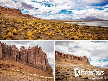Salar de Tara