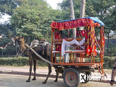 Same Day Taj Mahal and Agra Tour from Chennai with Return Flights