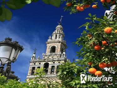 Santa Cruz Quarter and Cathedral Guided Day Tour in Seville Santa Cruz Quarter and Cathedral Guided Day Tour in Seville