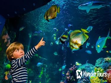 SEA LIFE Helsinki Entrance Ticket SEA LIFE Helsinki Entrance Ticket