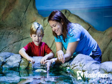 SEA LIFE Kansas City Aquarium Admission Ticket SEA LIFE Kansas City Aquarium Admission Ticket