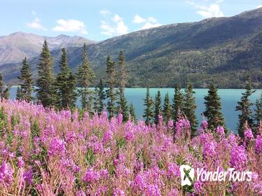 Skagway Shore Excursion: Half-Day Tour to the Yukon Border Skagway Shore Excursion: Half-Day Tour to the Yukon Border