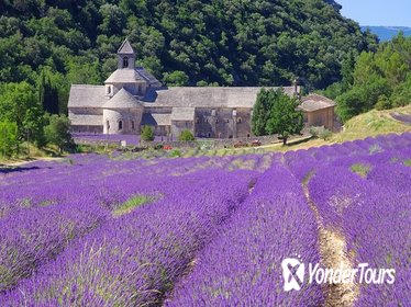 Small Group Provence and Lavender Museum Day Trip from Avignon