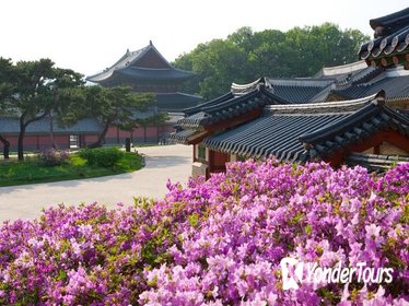 Small-Group Afternoon Seoul Tour Small-Group Afternoon Seoul Tour