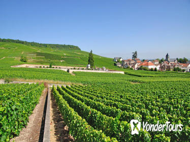 Small-Group Wine-Tasting Trip to the Champagne Region from Paris