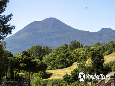 Sorrento Super Saver: Amalfi Coast Day Trip plus Mt Vesuvius Tour Sorrento Super Saver: Amalfi Coast Day Trip plus Mt Vesuvius Tour