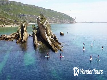 Stand Up Paddle Tour