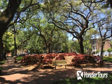 Stroll with a Local through Savannah's Historic District Stroll with a Local through Savannah's Historic District