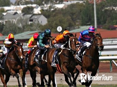 Sydney Harbour Melbourne Cup Cruise Sydney Harbour Melbourne Cup Cruise