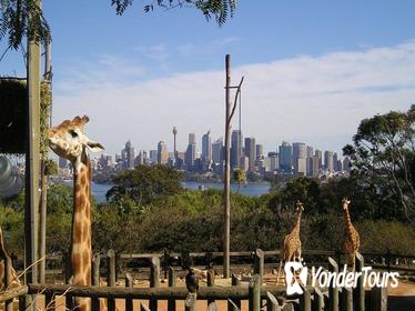 Sydney Taronga Zoo's Australian Animals Tour Sydney Taronga Zoo's Australian Animals Tour