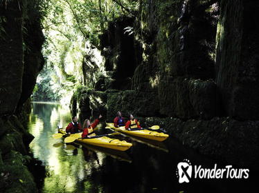 Tauranga Shore Excursion: Scenic Lake McLaren Kayak Tour