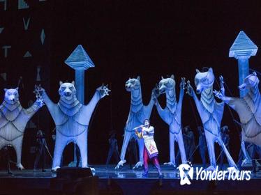 The Magic Flute at the Metropolitan Opera House